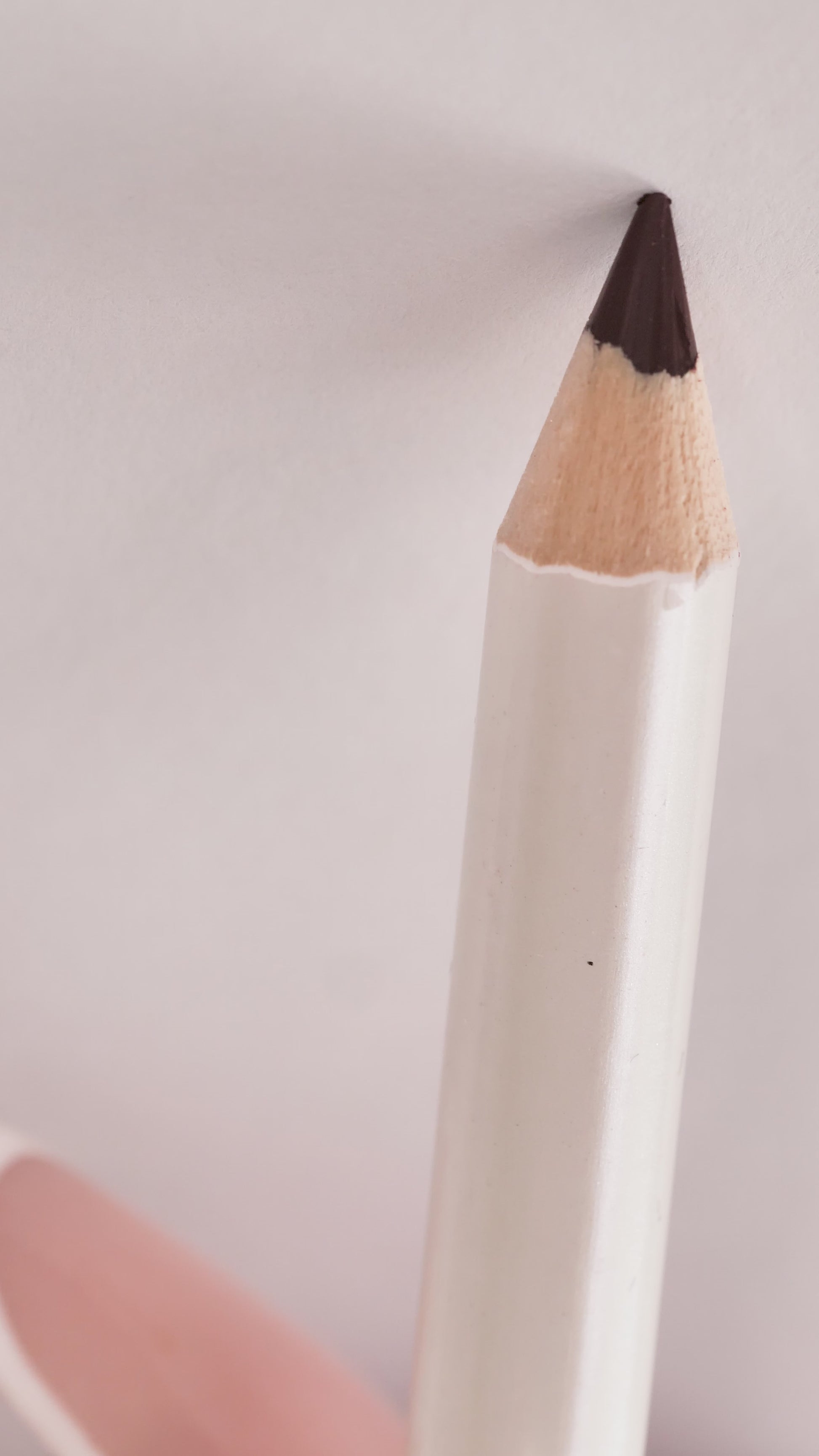 Lip Liner - 02 Brown