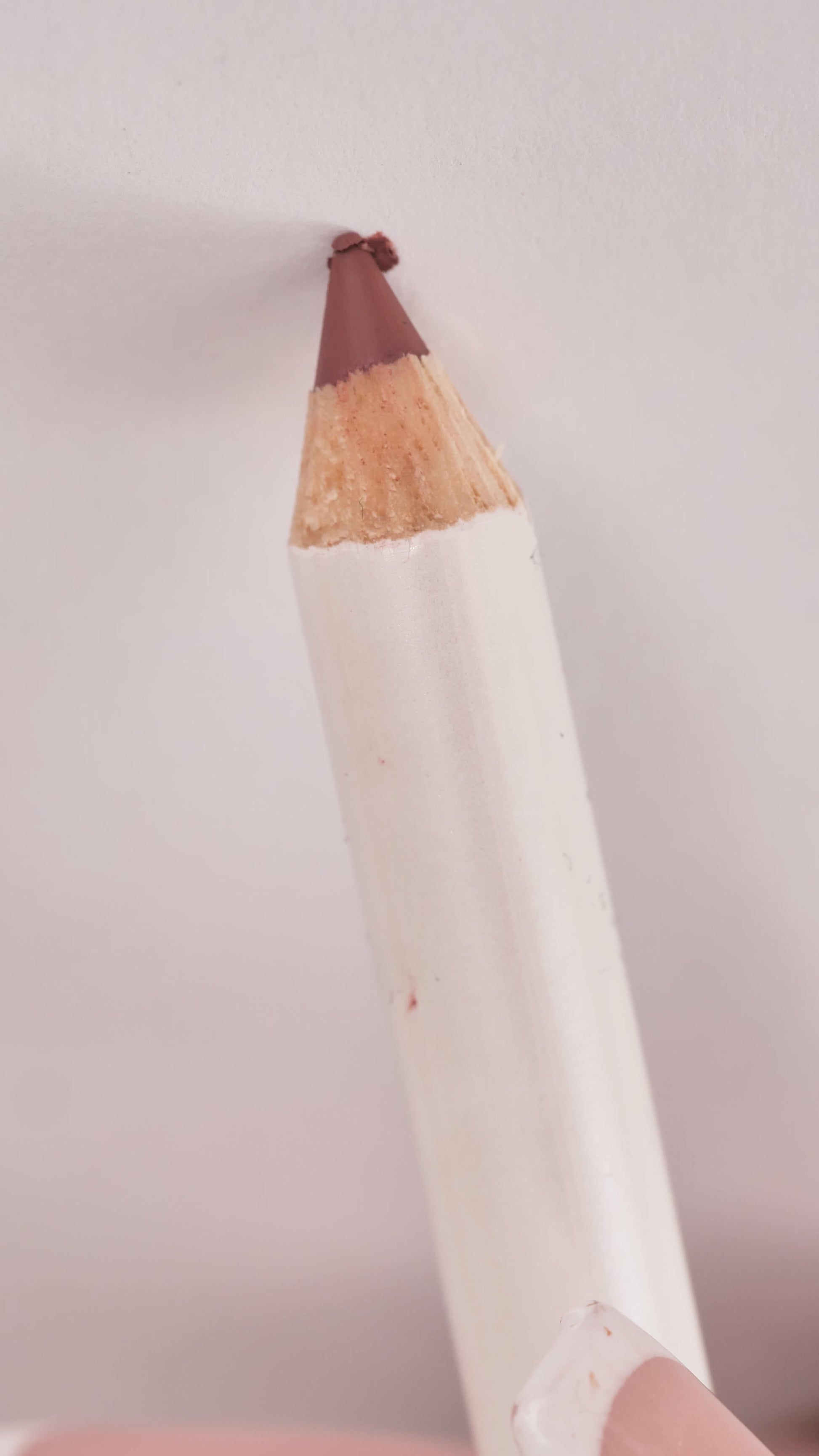 Lip Liner - 06 Pink-Nude